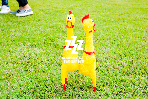 F1賽車拓展培訓(xùn)